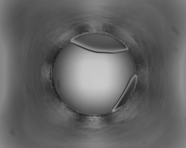 X0000112490233200908171254