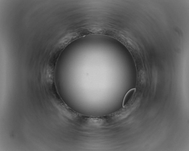 X0000112490234200908171254