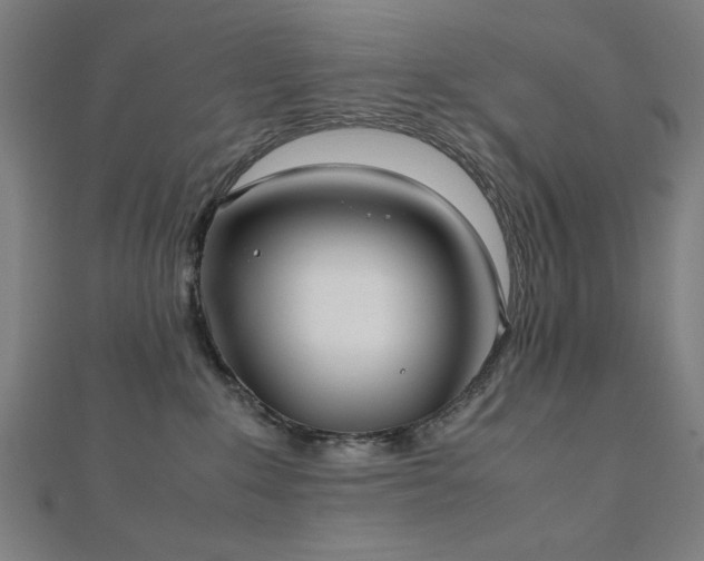 X0000112490235200908171254
