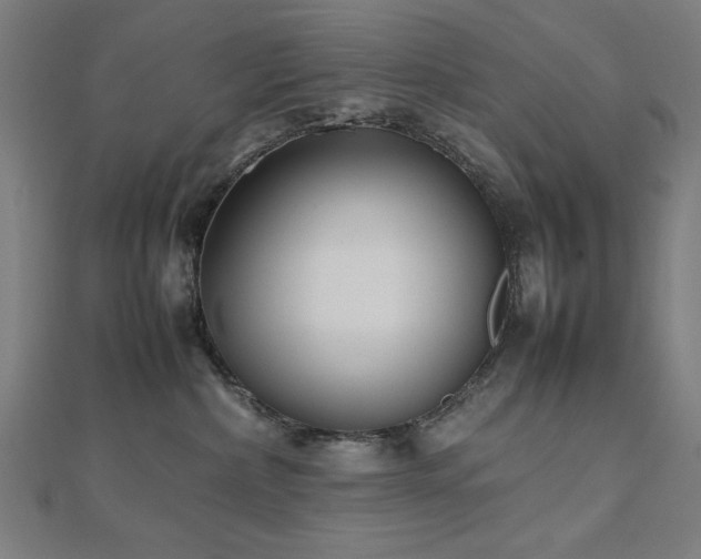X0000112490236200908171254