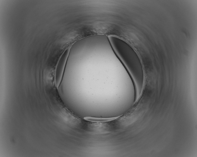 X0000112490237200908171254