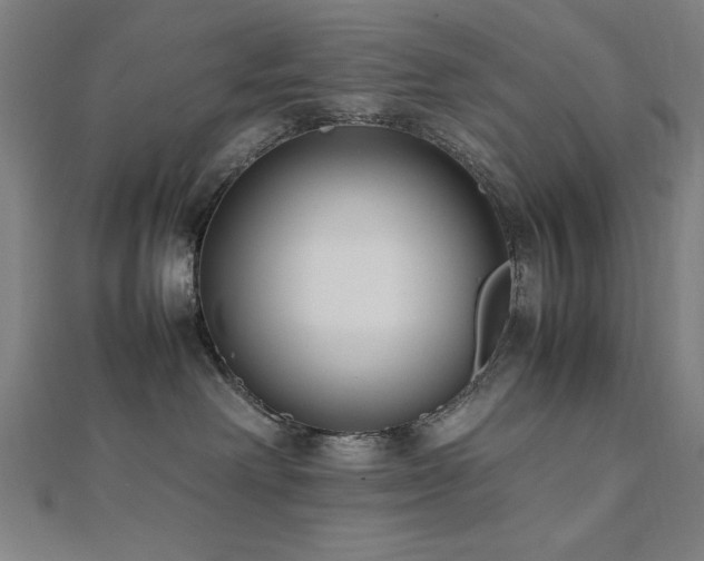 X0000112490238200908171254