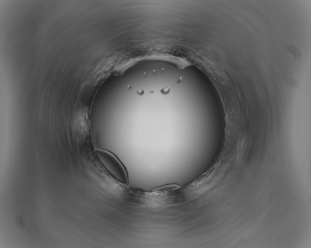 X0000112490240200908171254