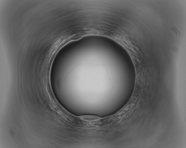 X0000112490241200908171253