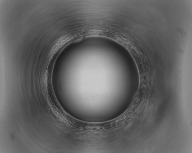 X0000112490242200908171253