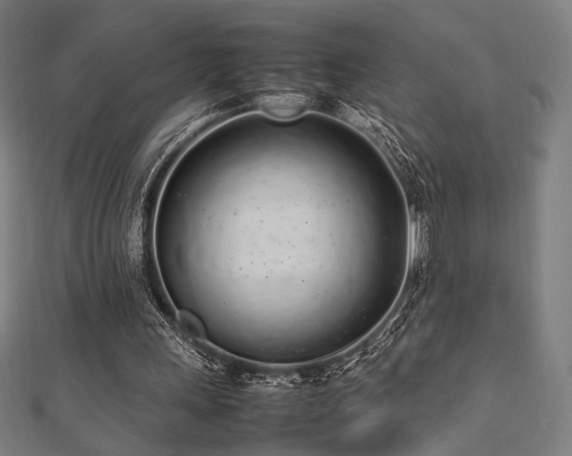 X0000112490243200908171253
