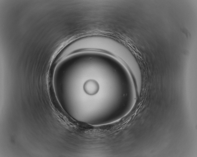 X0000112490244200908171253