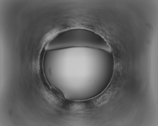 X0000112490248200908171253