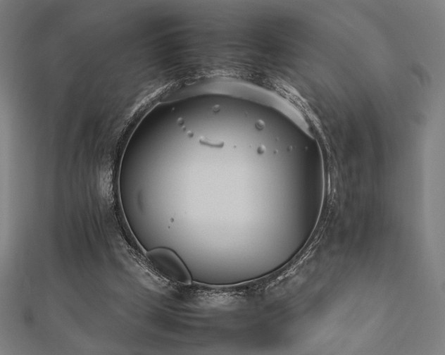 X0000112490249200908171253