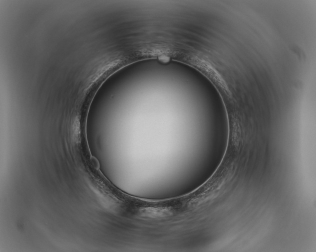 X0000112490251200908171253