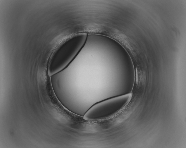 X0000112490252200908171253