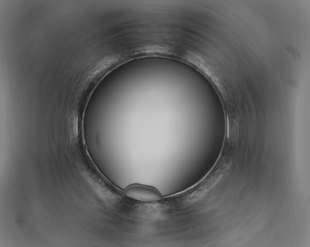 X0000112490253200908171253