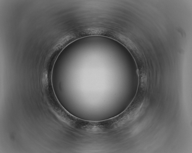 X0000112490254200908171253