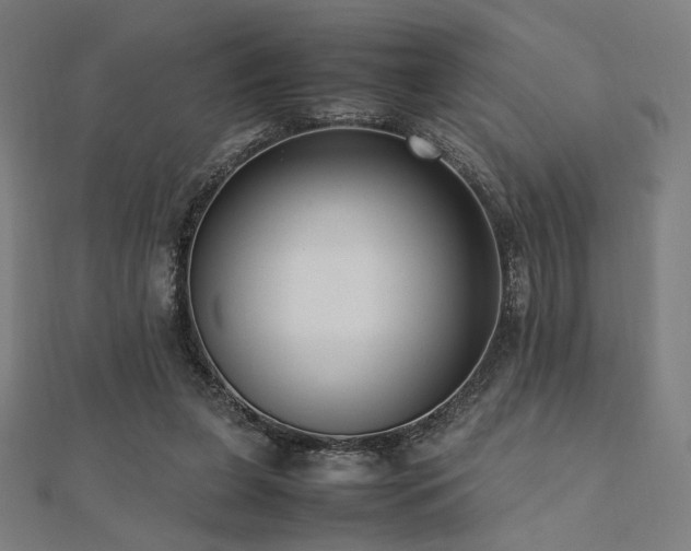 X0000112490255200908171253