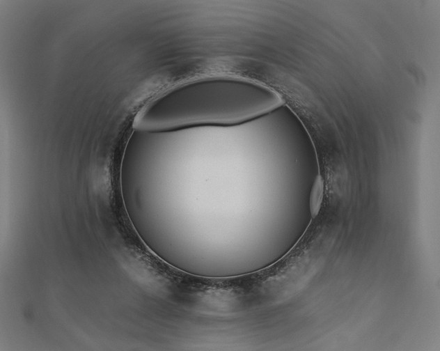 X0000112490256200908171253