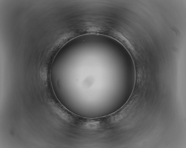 X0000112490257200908171253