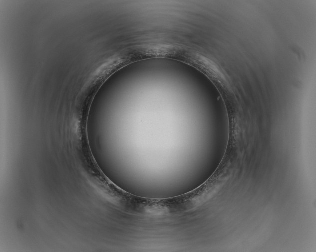 X0000112490258200908171253