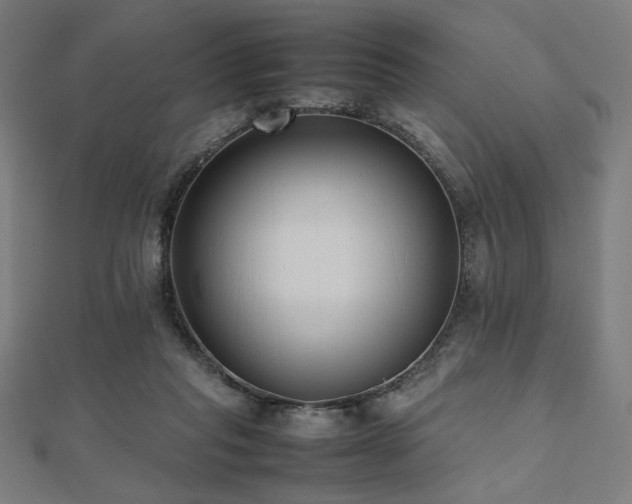 X0000112490261200908171253