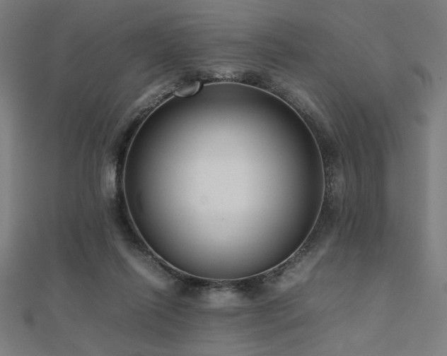 X0000112490262200908171253