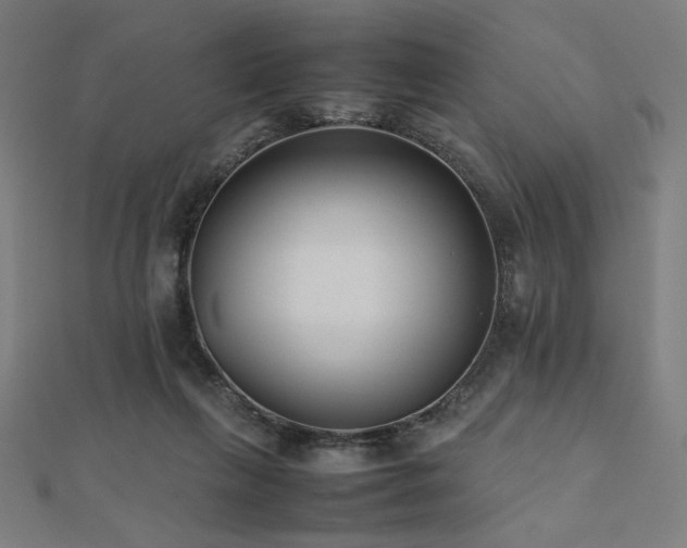 X0000112490263200908171253