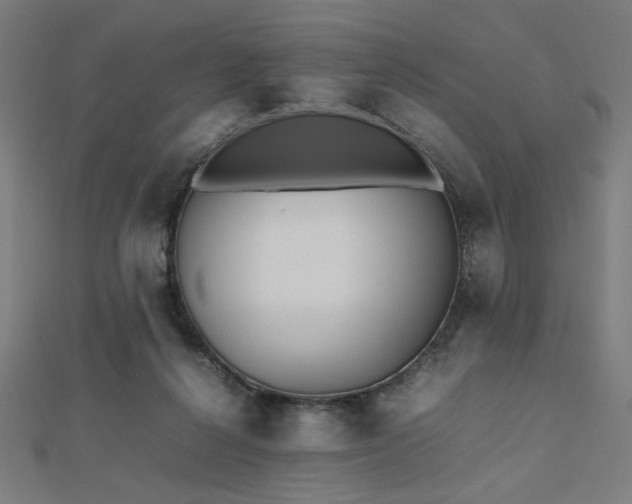 X0000112490264200908171253