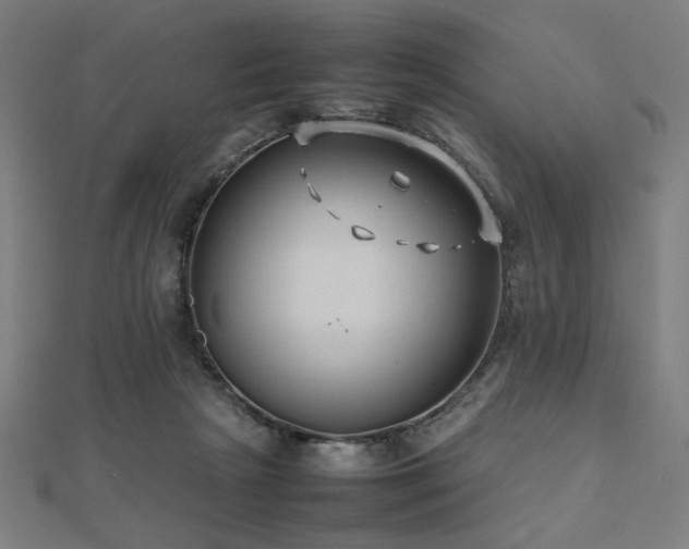 X0000112490265200908171253