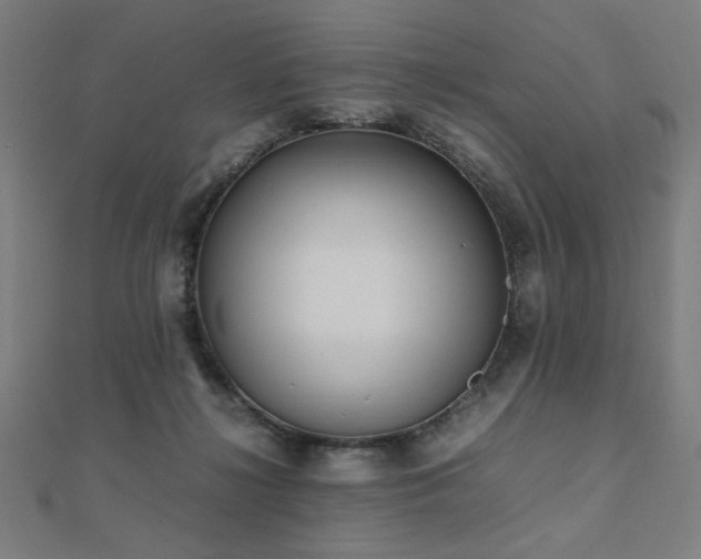 X0000112490268200908171253