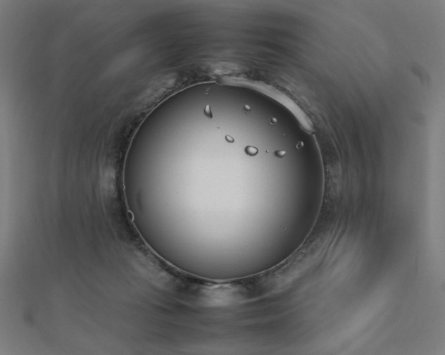 X0000112490269200908171253