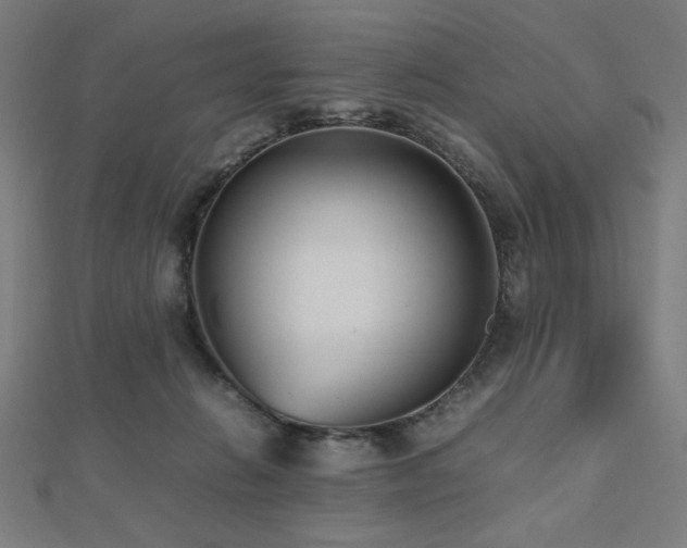 X0000112490270200908171253