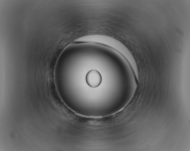 X0000112490272200908171253