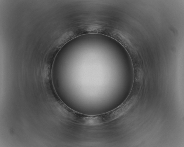 X0000112490273200908171253