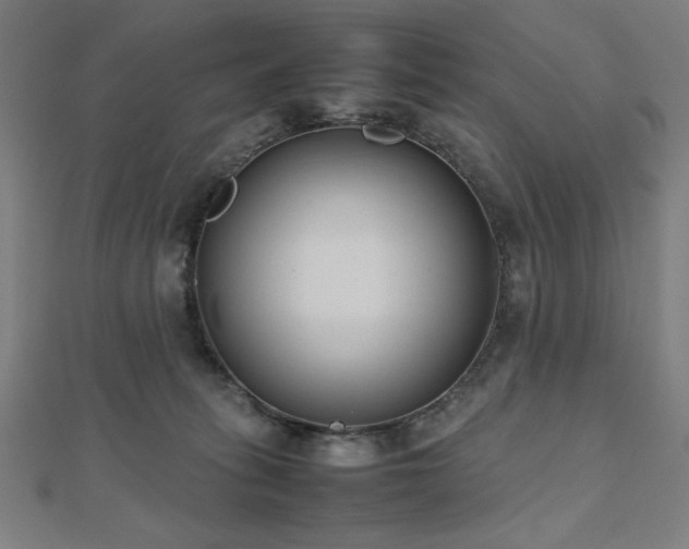 X0000112490275200908171253