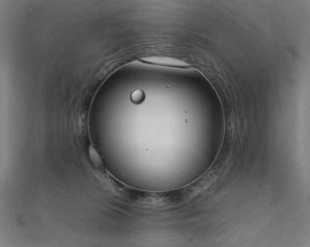 X0000112490276200908171253