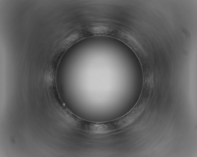 X0000112490277200908171253