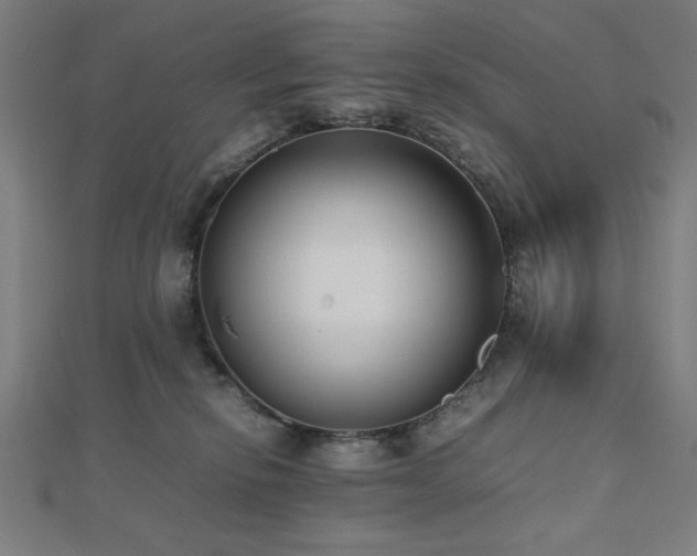 X0000112490278200908171254