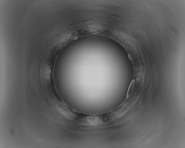 X0000112490279200908171254