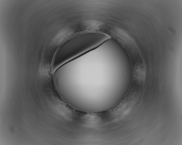 X0000112490280200908171254