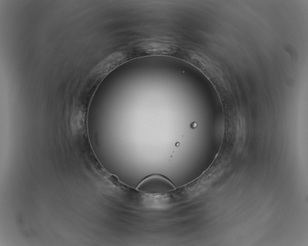 X0000112490281200908171254