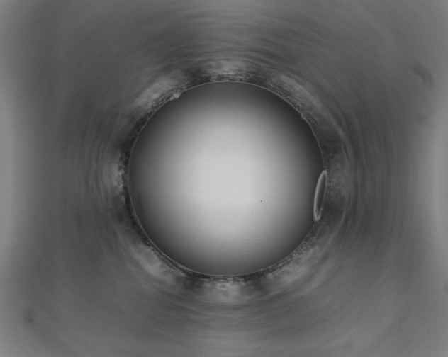 X0000112490282200908171254