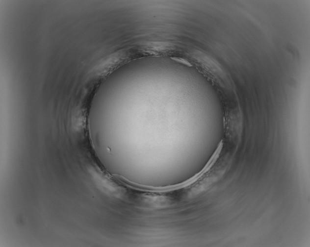 X0000112490284200908171254