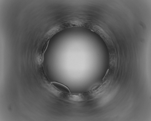 X0000112490285200908171254