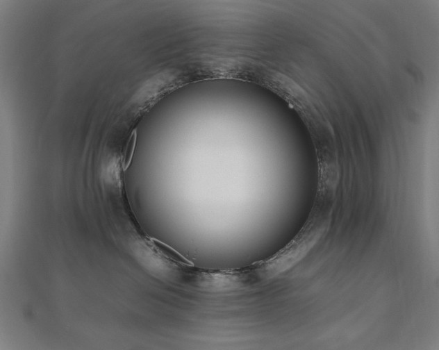X0000112490286200908171254