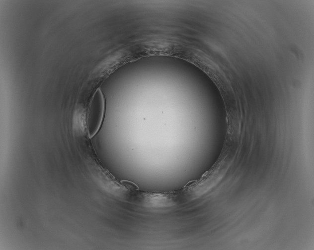 X0000112490287200908171254
