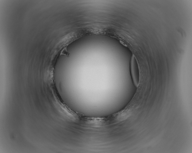 X0000112490288200908171254