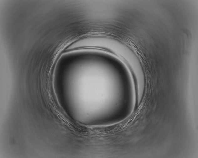 X0000112490289200908171253