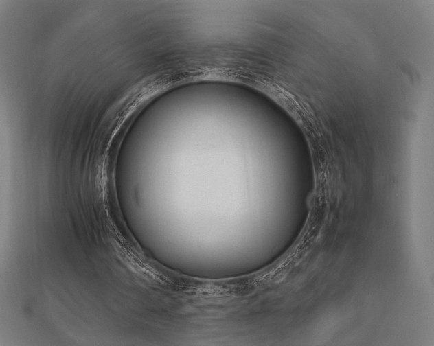 X0000112490290200908171253