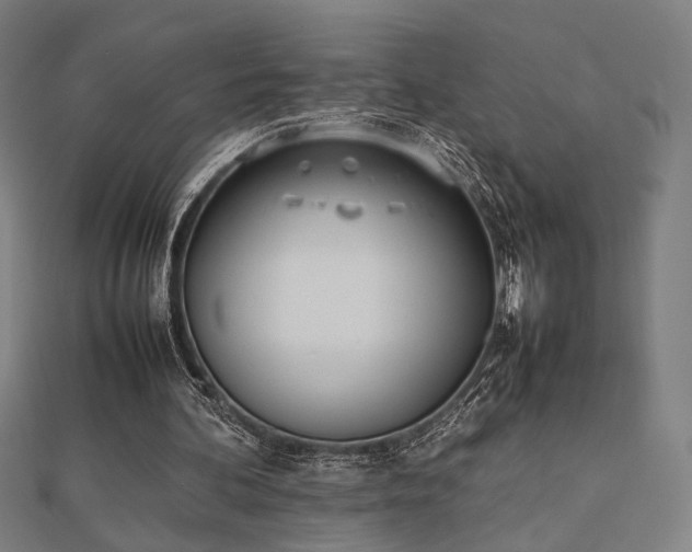 X0000112490292200908171253