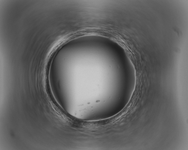 X0000112490293200908171253