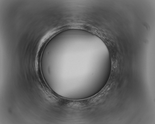 X0000112490294200908171253