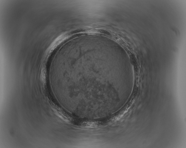 X0000112490295200908171253